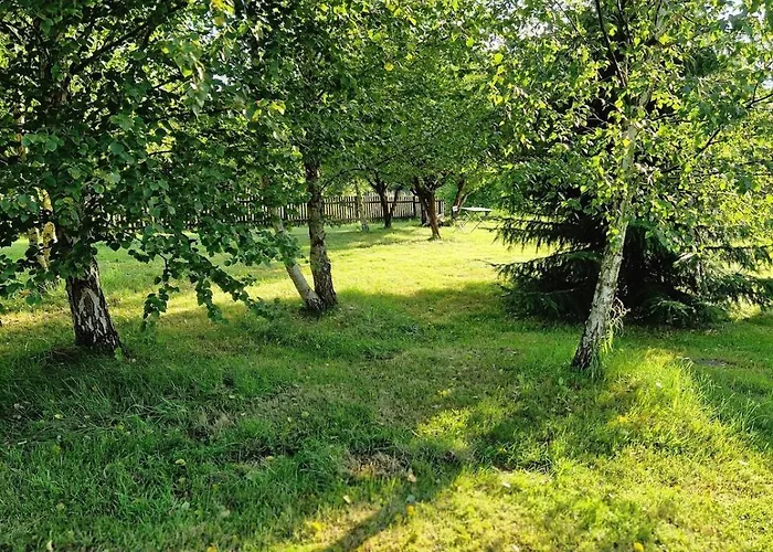 Cabin120 Siemiany- Slowlife Na Pojezierzu Ilawskim *